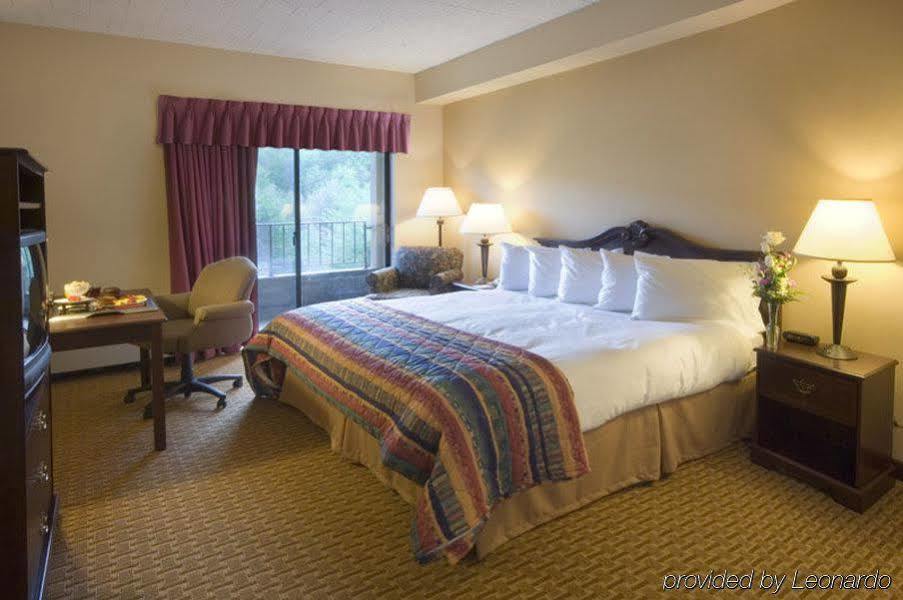 Chateau Resort & Conference Center Tannersville Værelse billede